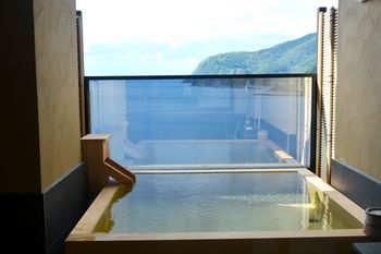 传统日式旅馆 新海花亭泉温泉旅馆 4*